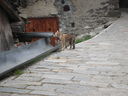 DSC08694.JPG