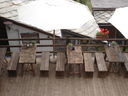 DSC08695.JPG