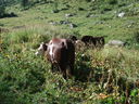 DSC08725.JPG