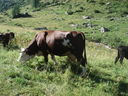 DSC08727.JPG