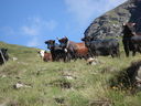 DSC08740.JPG