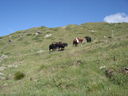 DSC08742.JPG