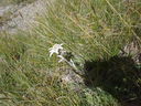 DSC08748.JPG