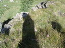 DSC08750.JPG