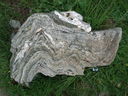 DSC08782.JPG