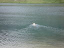 DSC08794.JPG