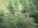 DSC08824.JPG