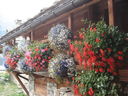 DSC08831.JPG