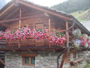 DSC08832.JPG
