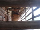 DSC08845.JPG