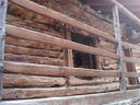 DSC08847.JPG