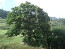 DSC08850.JPG
