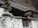 DSC08852.JPG