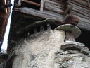 DSC08853.JPG