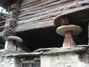 DSC08854.JPG