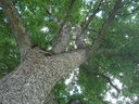 DSC08856.JPG