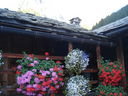 DSC08865.JPG