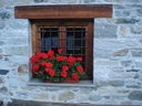 DSC08868.JPG