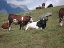 DSC08887.JPG