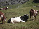 DSC08889.JPG