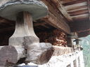 DSC08906.JPG