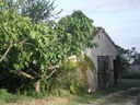 Immagine_004.jpg