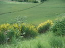 Immagine_036.jpg
