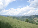 Immagine_082.jpg