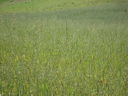 Immagine_103.jpg