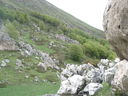 Immagine_184.jpg