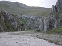 Immagine_242.jpg