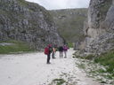 Immagine_249.jpg