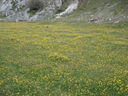 Immagine_264.jpg