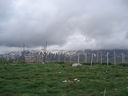 Immagine_286.jpg
