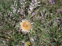 Immagine_323.jpg