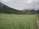 Immagine_379.jpg