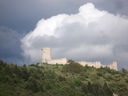 Immagine_440.jpg