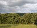 Immagine_470.jpg