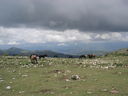 Immagine_529.jpg