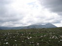 Immagine_544.jpg