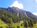 20130812_133356.jpg