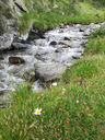 20130812_170428.jpg