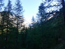 20130813_085326.jpg