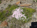 20130814_103035.jpg