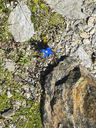 20130814_103057.jpg