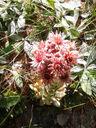 20130814_163612.jpg