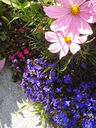 20130814_165544.jpg