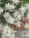 20130814_170515.jpg