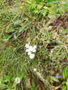 20130815_095151.jpg