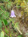 20130815_095216.jpg
